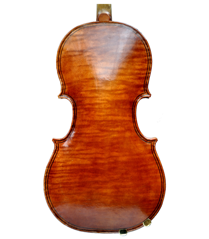Back view of viola made by Jedidjah de Vries - 2019